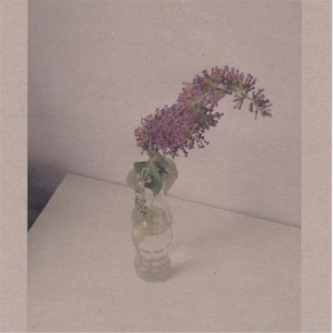 AI美女裸体㊙️网站
